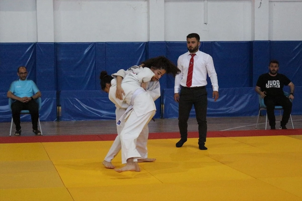 Tunceli\'de düzenlenen Anadolu Yıldızları Ligi Judo Yarı Final Müsabakaları sona erdi