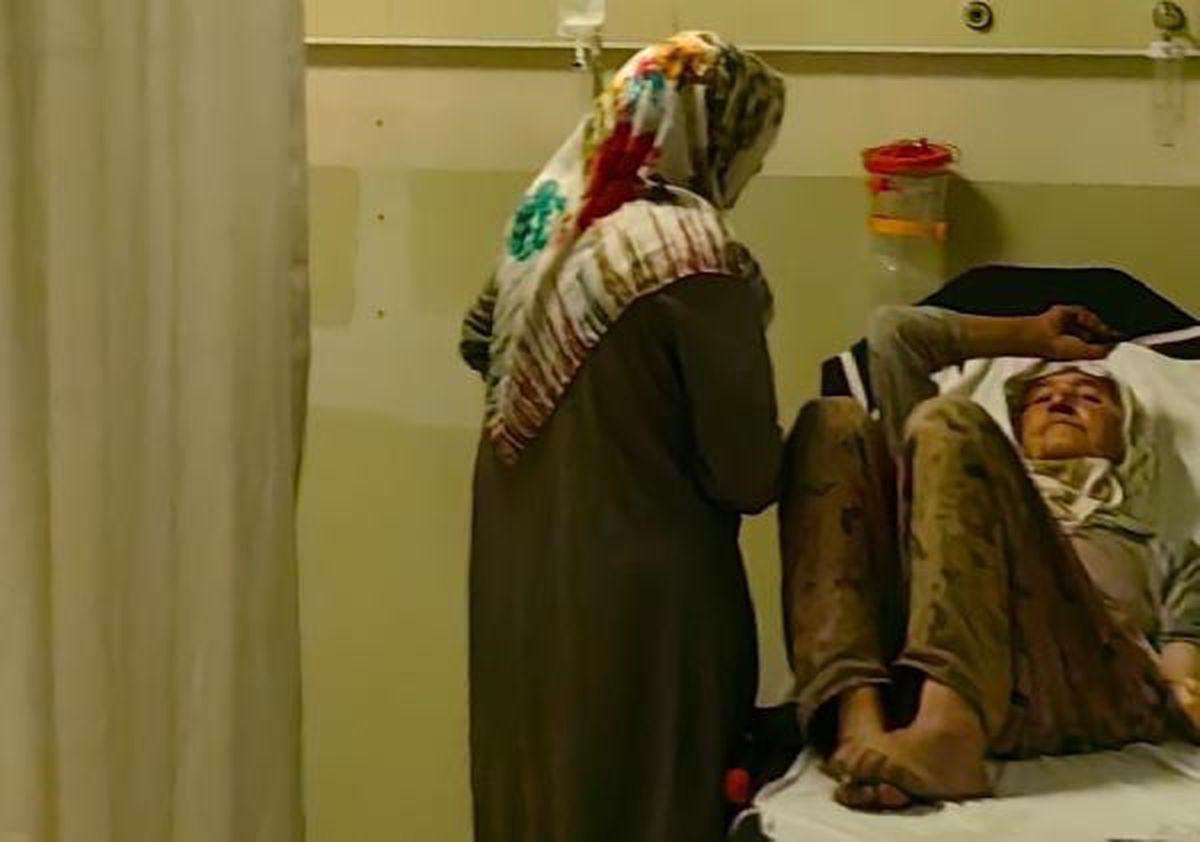 Çilek toplarken yılan ısırdı, hastaneye kaldırıldı