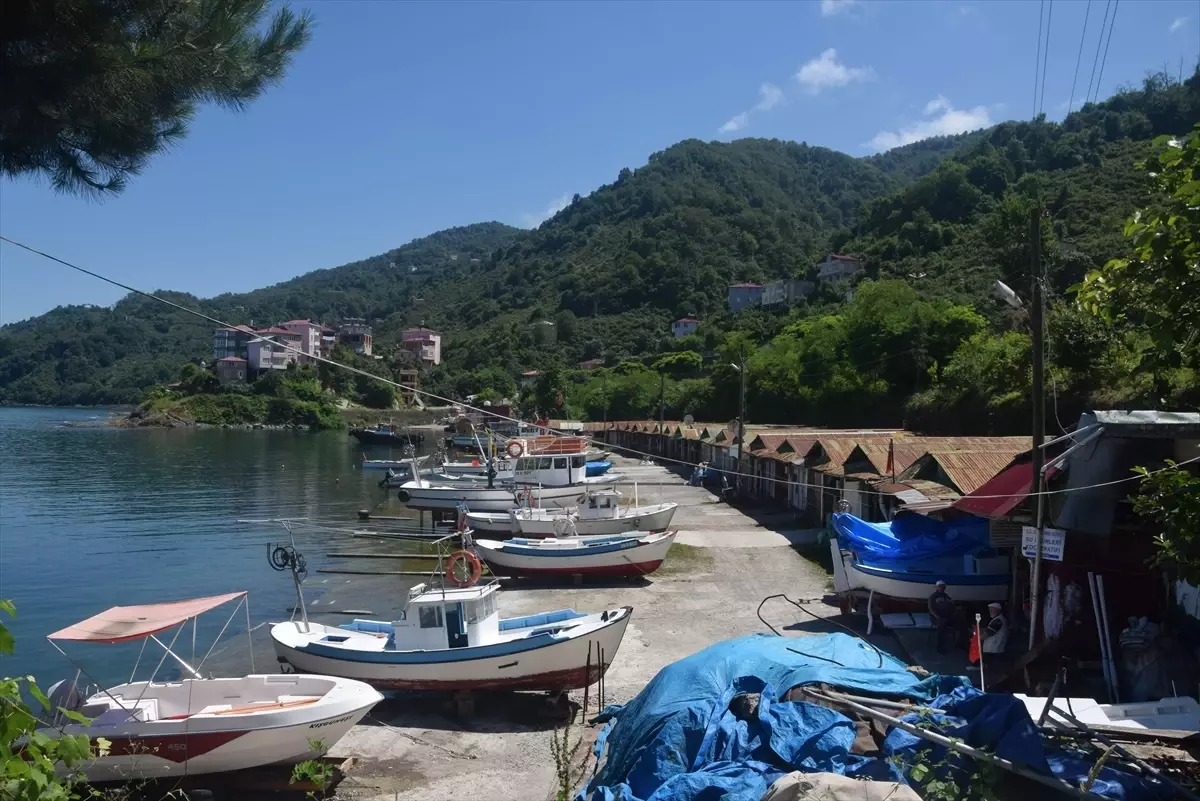 Espiye\'de Balıkçılar Av Yasağına Hazırlanıyor