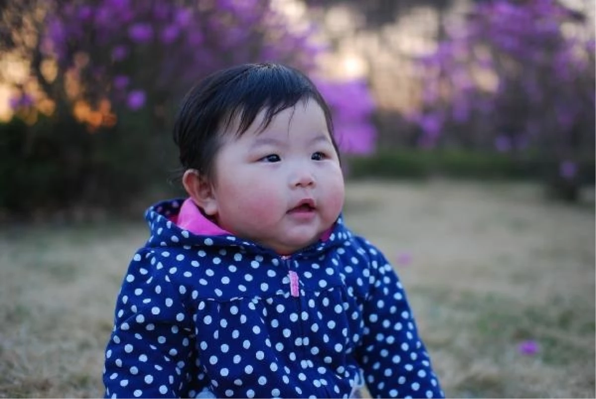 Güney Kore\'de Doğurganlık Oranının Düşmesi Pediatri Kliniklerini Etkiledi