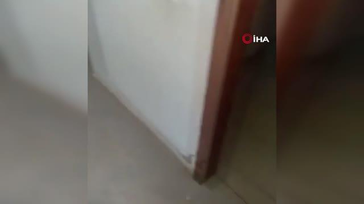 İsrail\'in Cenin saldırılarda 40 milyon dolarlık hasar oluştu