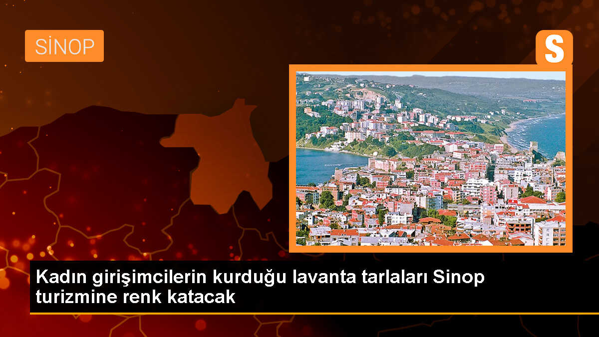 Sinop\'ta Kadın Girişimciler Tarafından Lavanta Tarlası Kuruldu