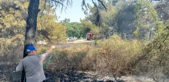 Babaeski'de Buğday Tarlası ve Ağaçlık Alandaki Yangın Söndürüldü