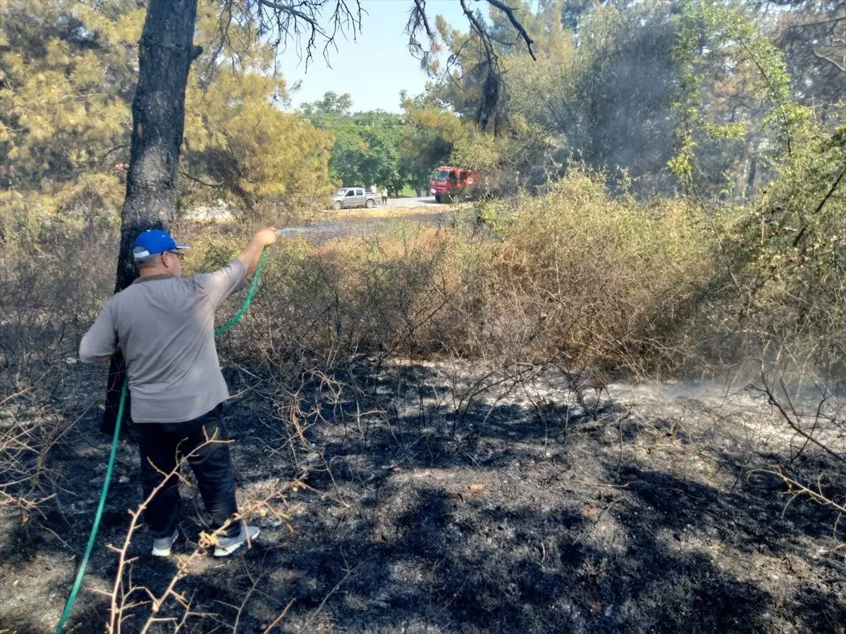 Babaeski'de Buğday Tarlası ve Ağaçlık Alandaki Yangın Söndürüldü