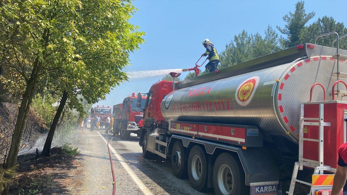 Muğla\'da çıkan yangında 2 dönüm ormanlık alan zarar gördü