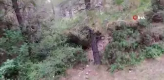 Osmaniye'de orman yangını: Ekiplerin yaklaşık 1 saatlik çalışmasıyla kontrol altına alındı
