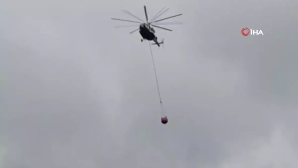 Osmaniye'de orman yangını: Ekiplerin yaklaşık 1 saatlik çalışmasıyla kontrol altına alındı