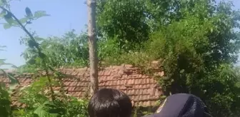 TOKAT'ta Kaybolan 4 Yaşındaki Çocuk 4 Saatte Bulundu
