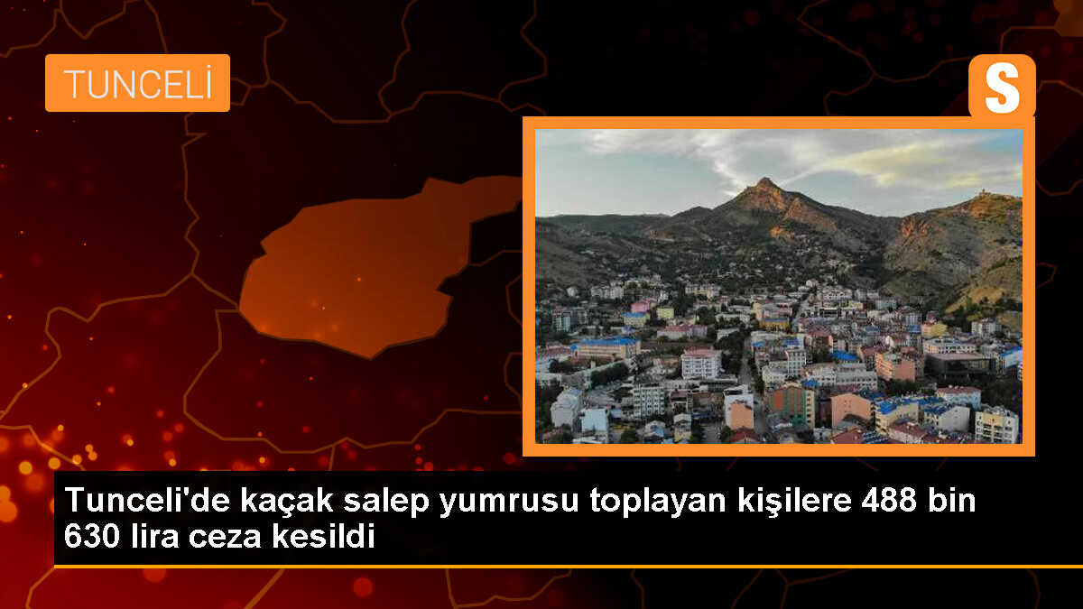 Tunceli\'de Kaçak Salep Yumrusu Toplayanlara Yüksek Cezalar