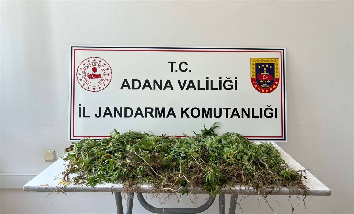 Adana\'da 2 Bin 55 Kök Hint Keneviri Ele Geçirildi, 3 Şüpheli Yakalandı