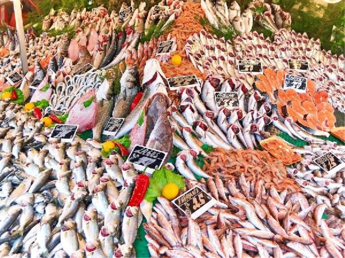 Türkiye\'nin balık ihracatı rekor kırdı