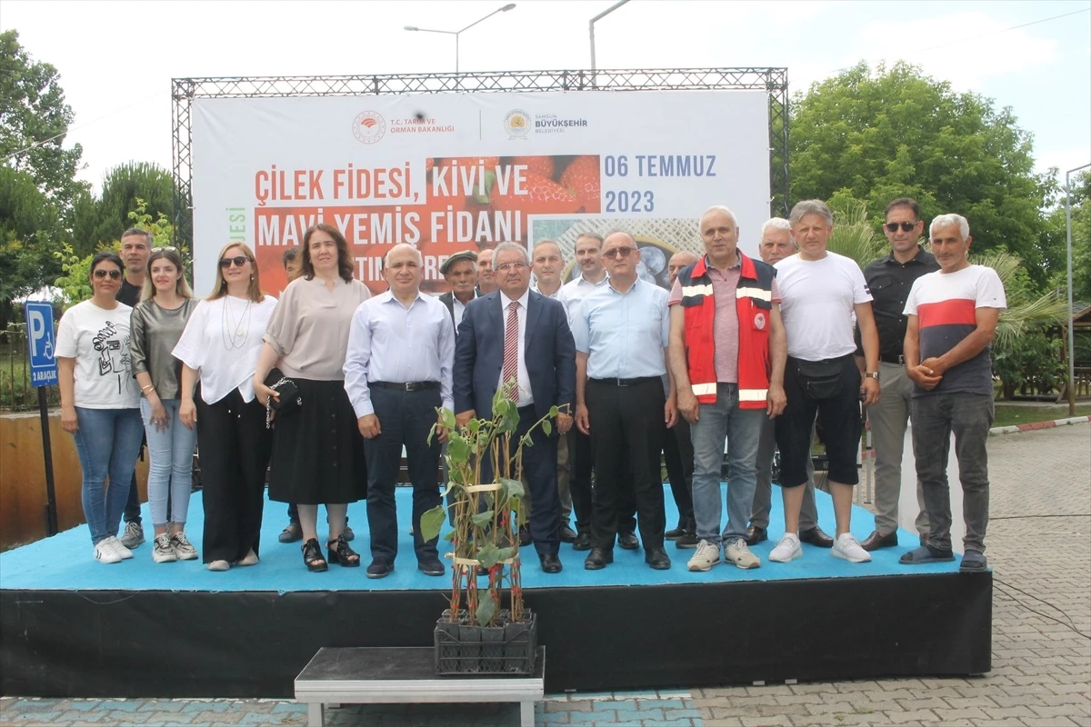 Samsun Büyükşehir Belediyesi, Çarşamba ilçesinde kivi fidanı dağıtımı gerçekleştirdi