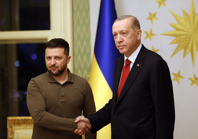 Cumhurbaşkanı Recep Tayyip Erdoğan, Ukrayna Devlet Başkanı Volodimir Zelenski'yle görüşüyor