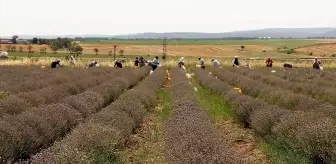 Edirne Vali Vekili Sıdkı Zehin, Kırkpınar Yağlı Güreşleri'ni kutladı
