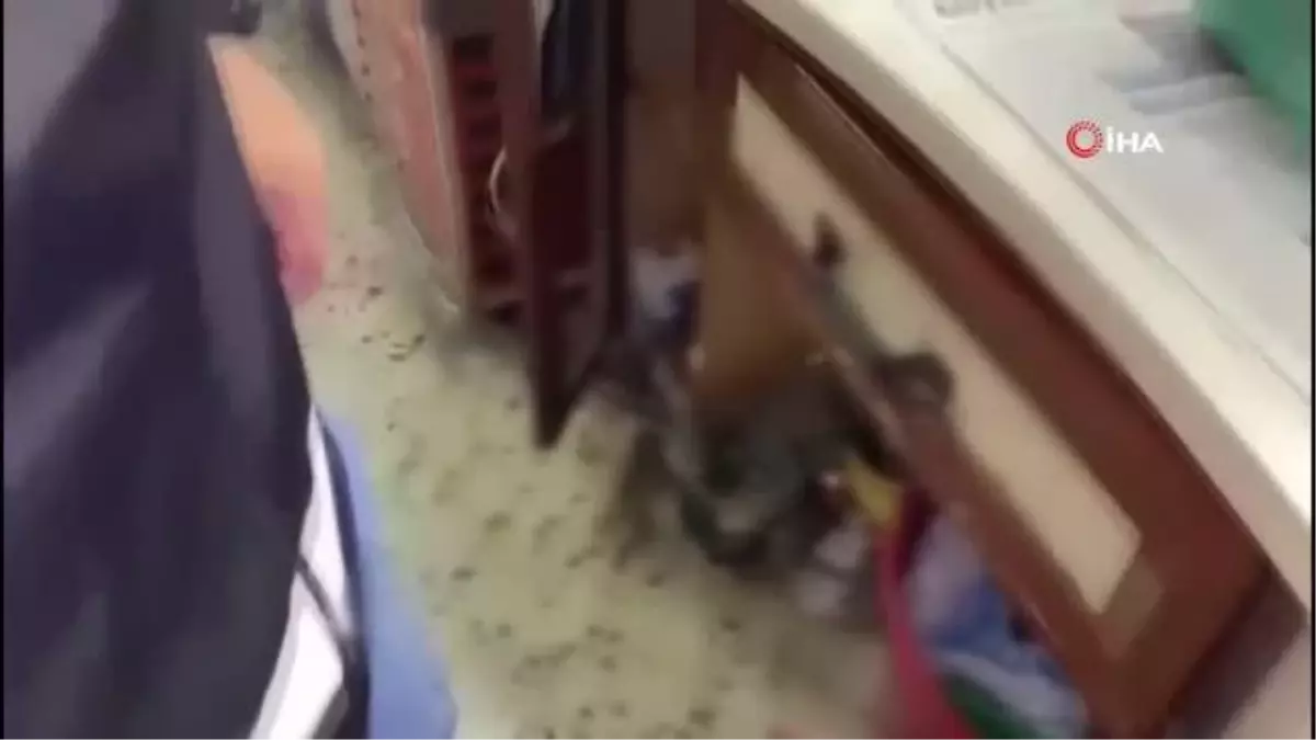 Gaziantep\'te bir buçuk milyon kaçak makaron ele geçirildi
