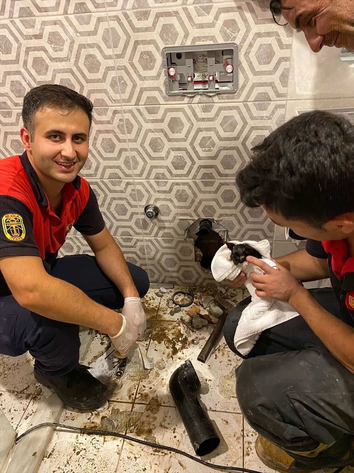 Bodrum\'da otel gider borusuna sıkışan yavru kedi itfaiye ekipleri tarafından kurtarıldı