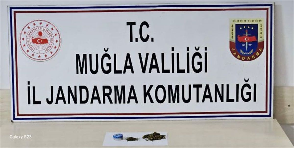 Muğla\'da düzenlenen operasyonlarda 24 kişi gözaltına alındı