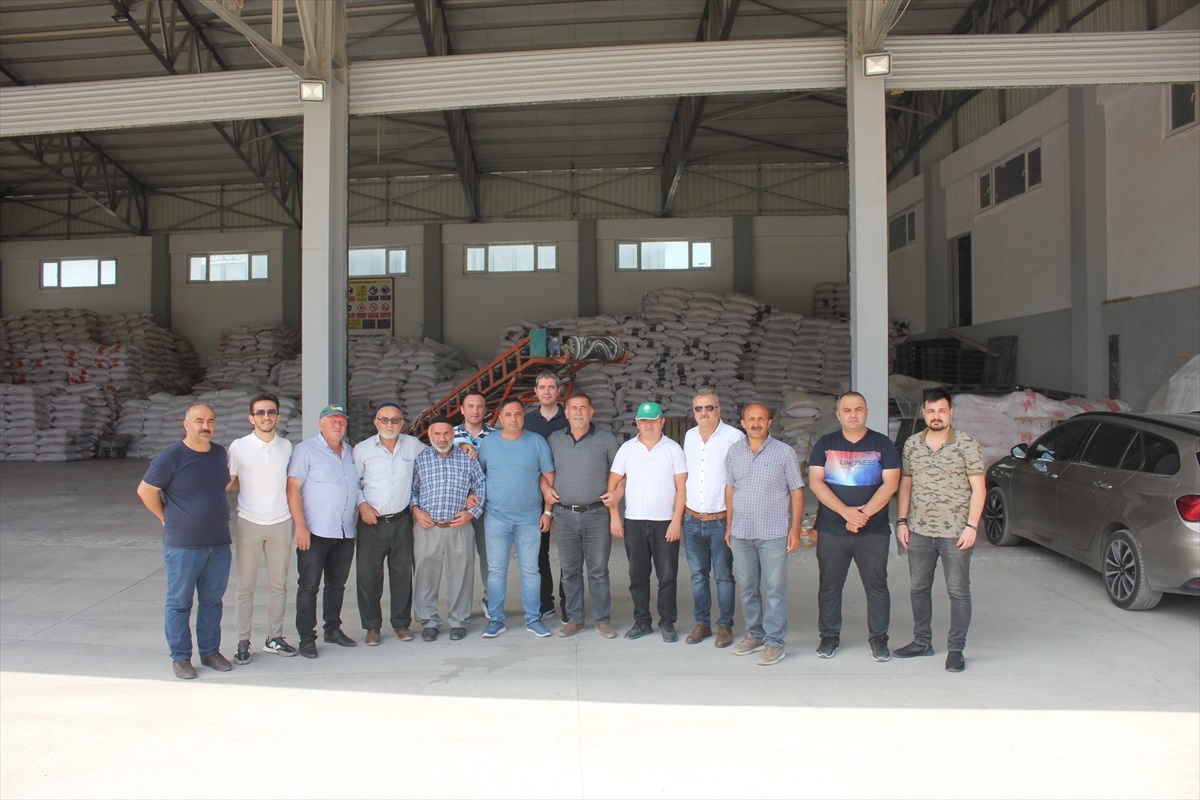 Suluova\'da TMO Hububat Alımı Başladı