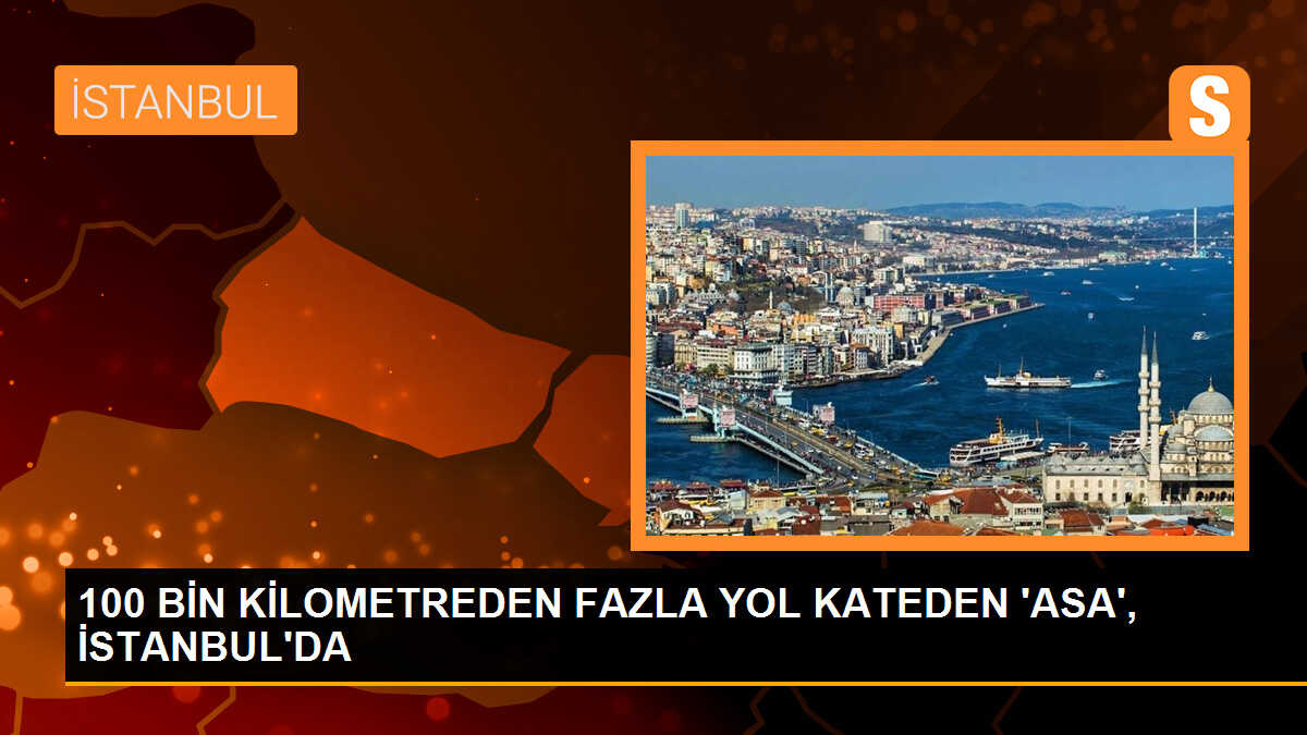 Rusya\'nın İstanbul Başkonsolosluğu\'nda Festival Maratonu Resepsiyonu Düzenlendi