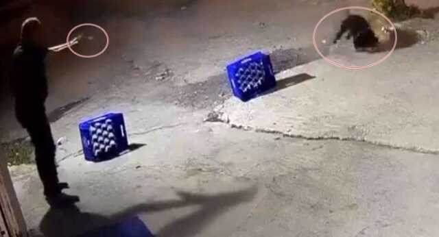 Ağaca bağlı köpeğe kurşun yağdırıldı, saldırı anı kamerada Ağaca bağlı köpeğe kurşun yağdırıldı, saldırı anı kamerada
