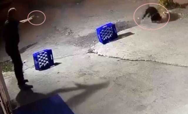 Ağaca bağlı köpeğe kurşun yağdırıldı, saldırı anı kamerada Ağaca bağlı köpeğe kurşun yağdırıldı, saldırı anı kamerada