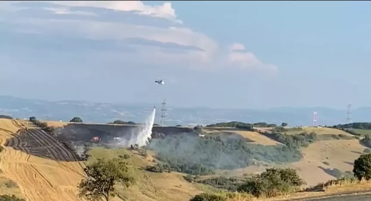 Çanakkale\'de çıkan yangında 50 dönümlük buğday tarlası zarar gördü