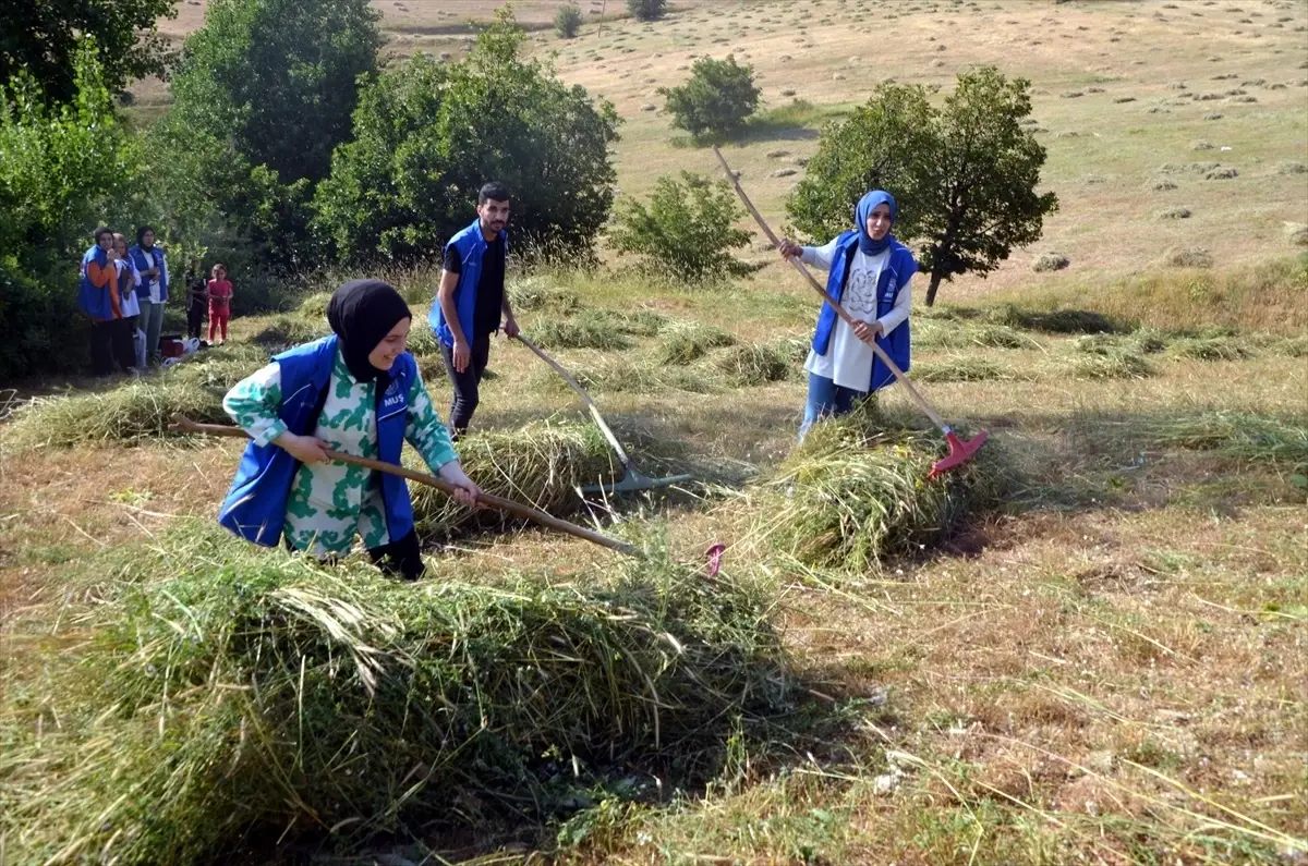 Gençler, kalp hastası çiftçinin arazisini biçti