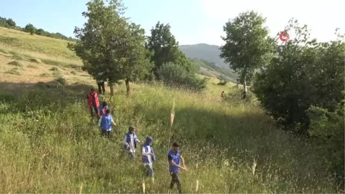 Muşlu gençler yaşlı adamın tarlasını biçti