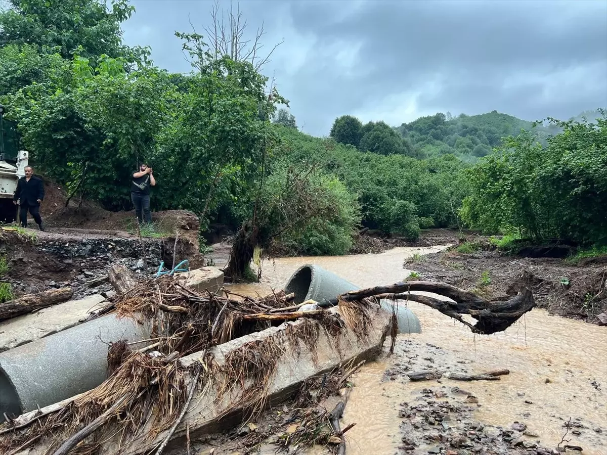 Sakarya\'da Sağanak Yağış Sonucu Ev ve İş Yerleri Su Altında Kaldı
