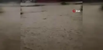 Yağış o ilçeyi de vurdu: Tavuk çiftliğini su bastı, 20 bine yakın civciv telef oldu