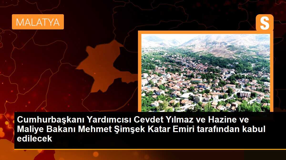 Cumhurbaşkanı Yardımcısı ve Hazine Bakanı Katar Emiri tarafından kabul edilecek