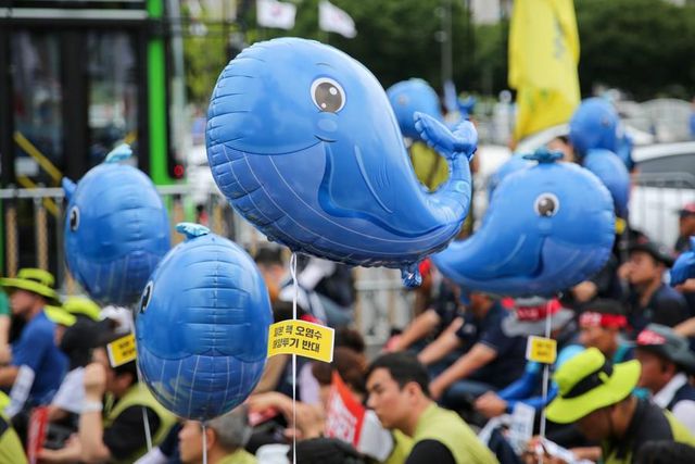 Güney Koreliler, Japonya'nın Nükleer Atık Su Planına İlişkin Uaea Raporunu Protesto Etti