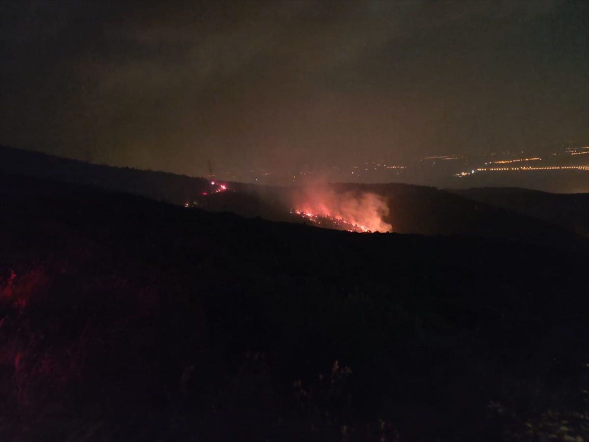 Antakya\'da Orman Yangını: 5 Hektarlık Alan Zarar Gördü