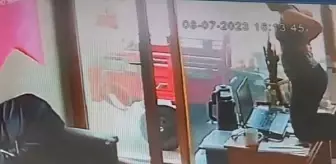 Çanakkale'de iş yerine yılan girdi, çalışan masasının üzerine çıktı