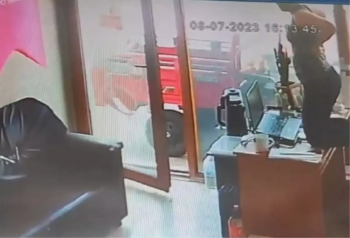 Çanakkale'de iş yerine yılan girdi, çalışan masasının üzerine çıktı