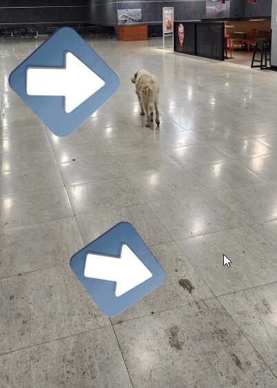 Sabiha Gökçen'de tepki çeken manzara! Sahipsiz köpekler alana girdi, bir de yerlere pisledikleri iddia edildi Sabiha Gökçen'de tepki çeken manzara! Sahipsiz köpekler alana girdi, bir de yerlere pisledikleri iddia edildi