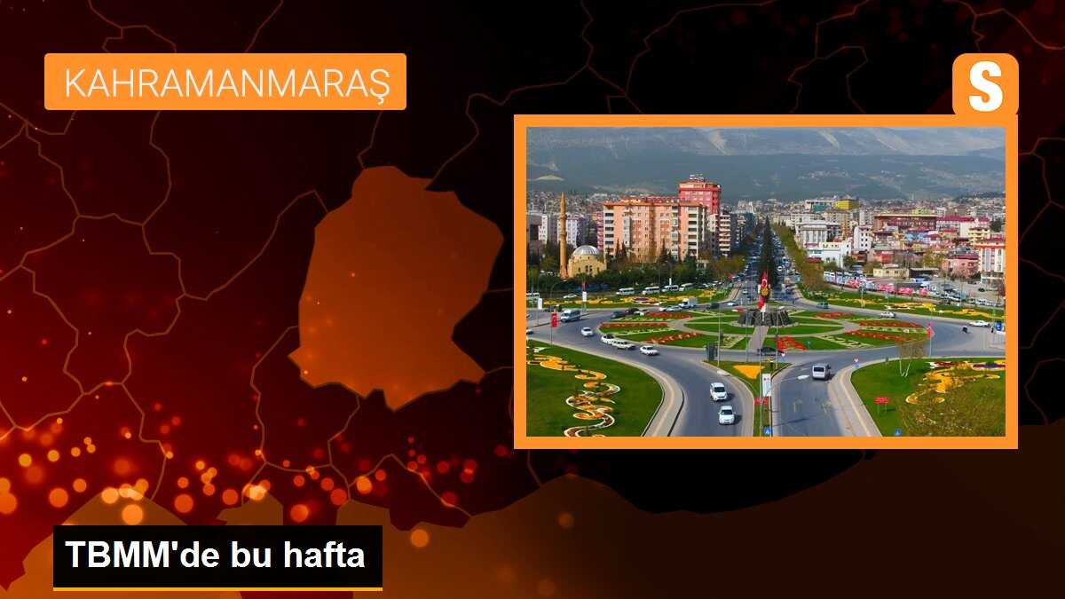 TBMM\'de bu hafta