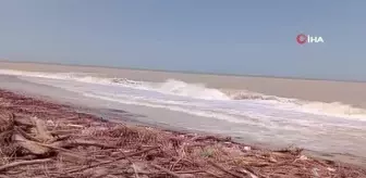 Akçakoca'da kıyıya vuran odunlar onlara kışlık yakacak oldu