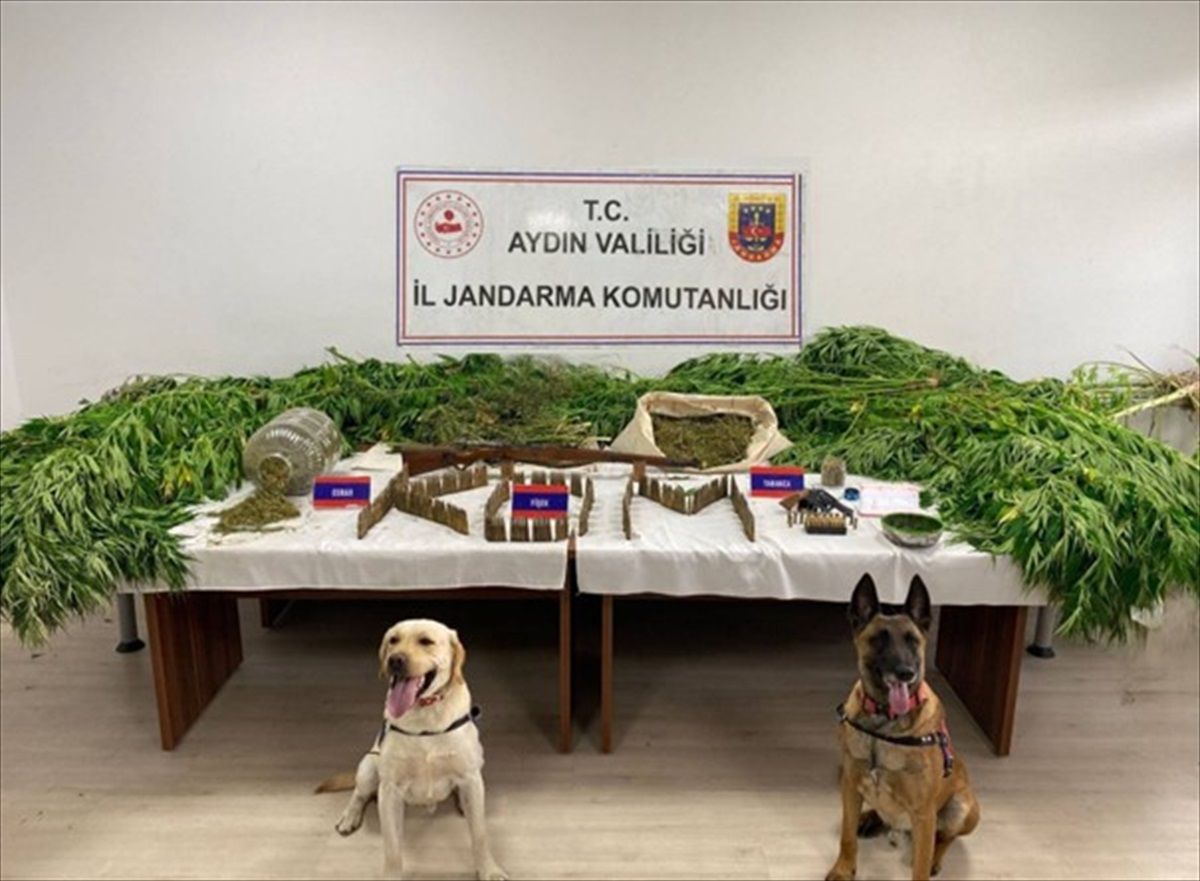 Aydın\'da 831 Uyuşturucu Operasyonunda 903 Kişi Gözaltına Alındı