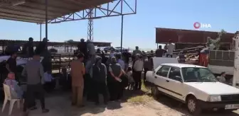 Depremin yaraları sarılıyor, enkaz kentte üreticilere küçükbaş hayvan dağıtıldı