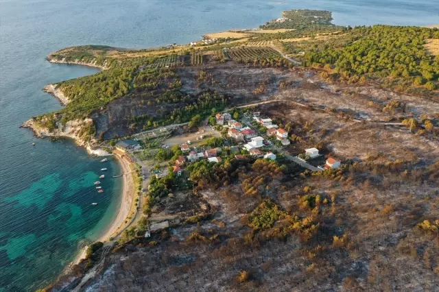 İzmir Aliağa'da çıkan orman yangını kontrol altına alındı