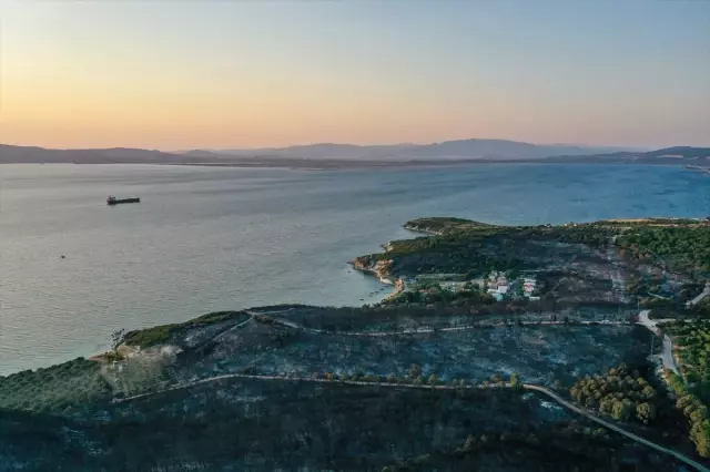 İzmir Aliağa'da çıkan orman yangını kontrol altına alındı