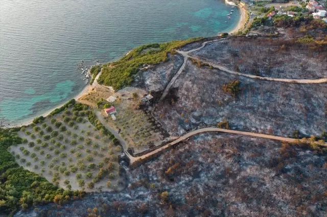 İzmir Aliağa'da çıkan orman yangını kontrol altına alındı