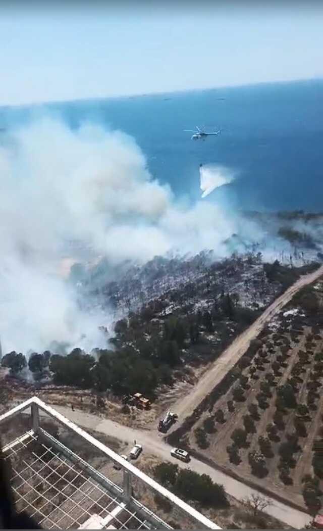 İzmir'de Aliağa ve Menderes ilçelerinde orman yangını! Vatandaşlar tahliye ediliyor