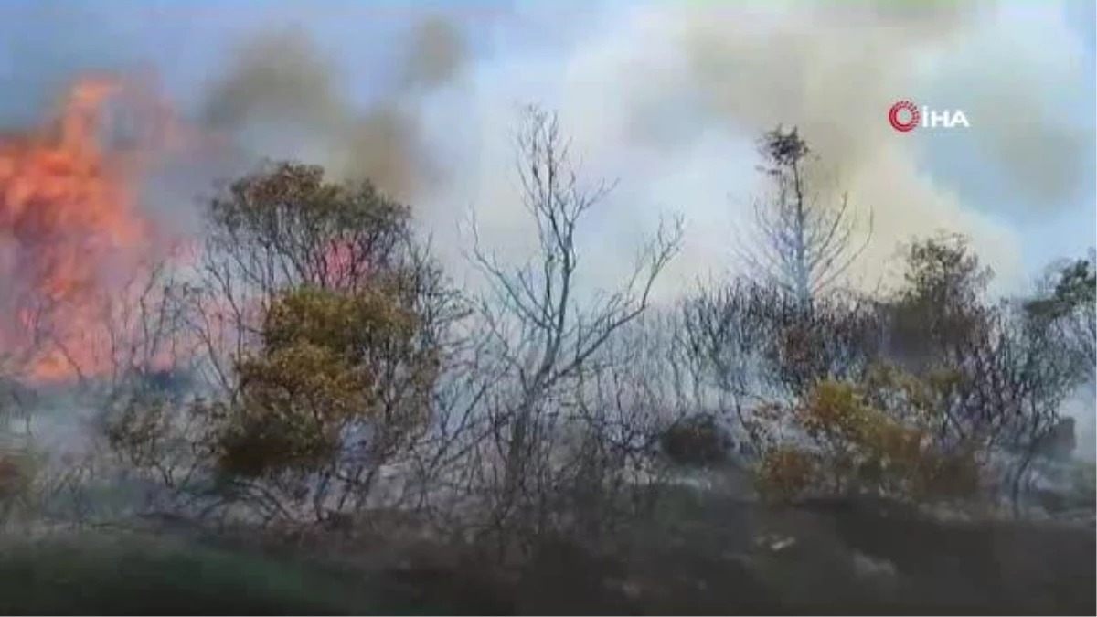 İzmir\'de orman yangınlarına müdahale sürüyor