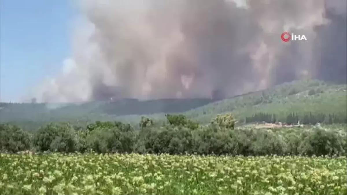 İzmir\'deki orman yangınında vatandaşlar denizden tahliye ediliyor