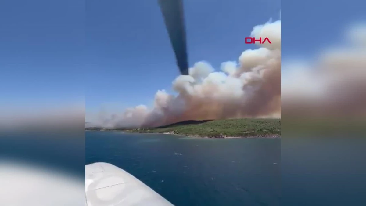 İzmir\'de Aliağa ve Menderes ilçelerinde orman yangını çıktı