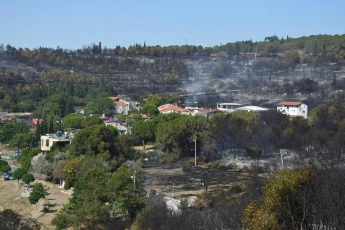 İzmir\'de Orman Yangınları: 2 Ev Yandı