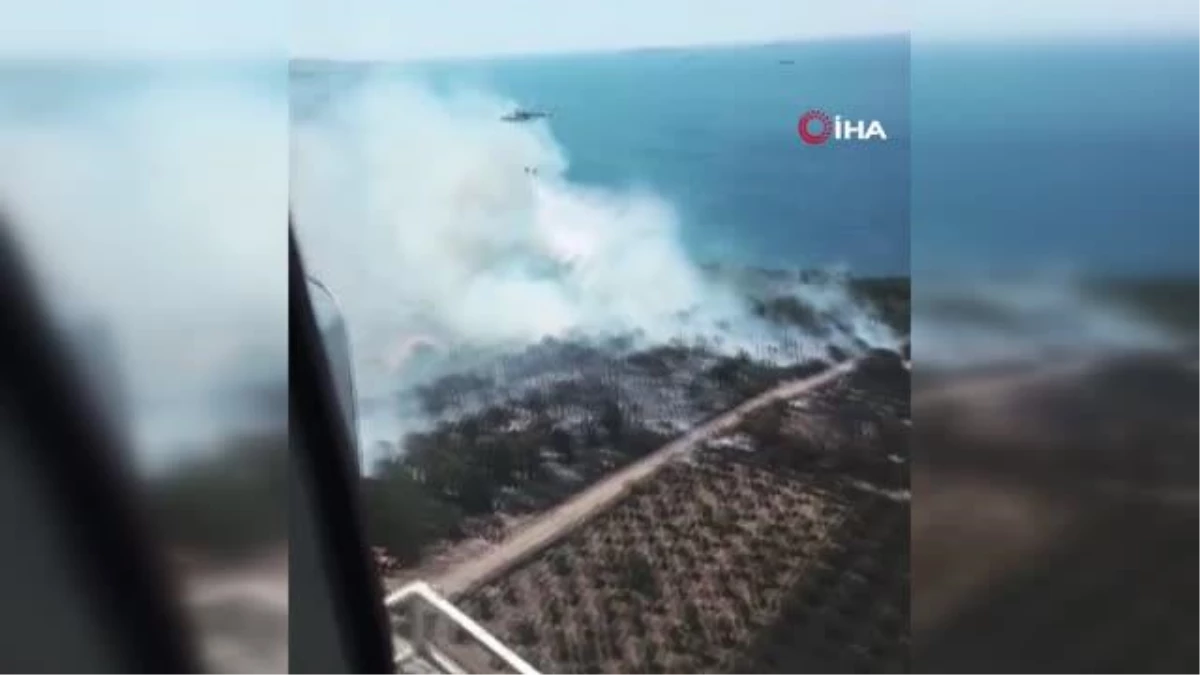 İzmir\'in iki ilçesinde aynı anda orman yangını