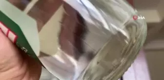 Kapalı içki şişesinin içinden sinek çıktı